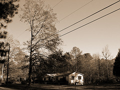 Power lines in front of a home amid trees