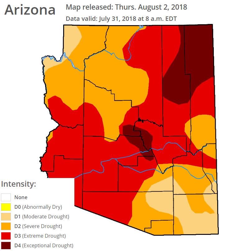 Arizona Drought Monitor map for July 31, 2018